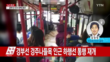 [뉴스통] 태풍·침수 피해 최소화하려면? / YTN (Yes! Top News)