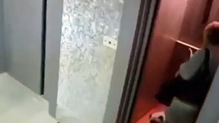 Cute Dog's life saved by Man in Elevator Whatsapp Video