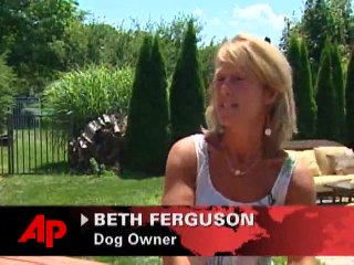 Golden Retriever Learns to Dive