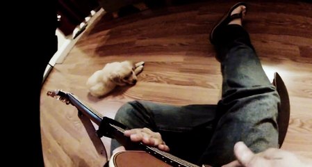Golden Retriever Puppy Listening To Me Play Guitar