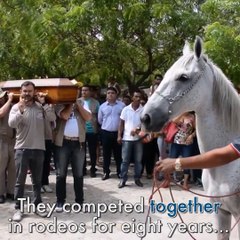 بالفيديو..حصان يلقى نظرة وداع على صاحبه خلال تشييع جنازته بالبرازيل