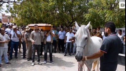 بالفيديو..حصان يلقى نظرة وداع على صاحبه خلال تشييع جنازته بالبرازيل