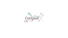 Surveiller la nutrition des chats gourmands par une gamelle connectée à internet : c’est désormais possible !