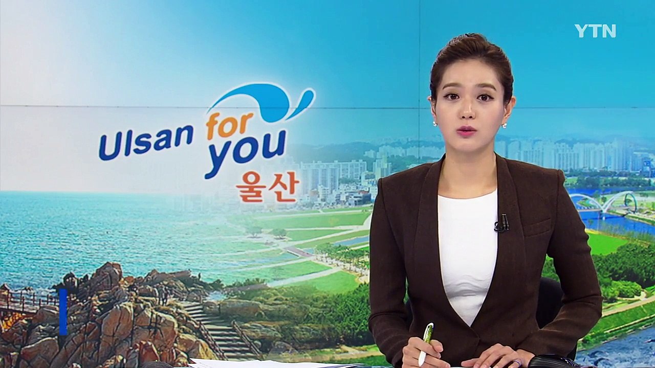 [울산] 울산 태풍 피해 복구 작업 계속 / YTN (Yes! Top News)