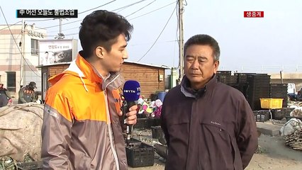 서해 5도에 오늘도 中 어선 120여 척 출몰 / YTN (Yes! Top News)
