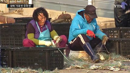 연평도 긴장 속 조업...정부 대책 '기대 반 우려 반' / YTN (Yes! Top News)