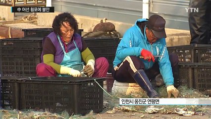 연평도 긴장 속 조업...정부 대책 '기대 반 우려 반' / YTN (Yes! Top News)