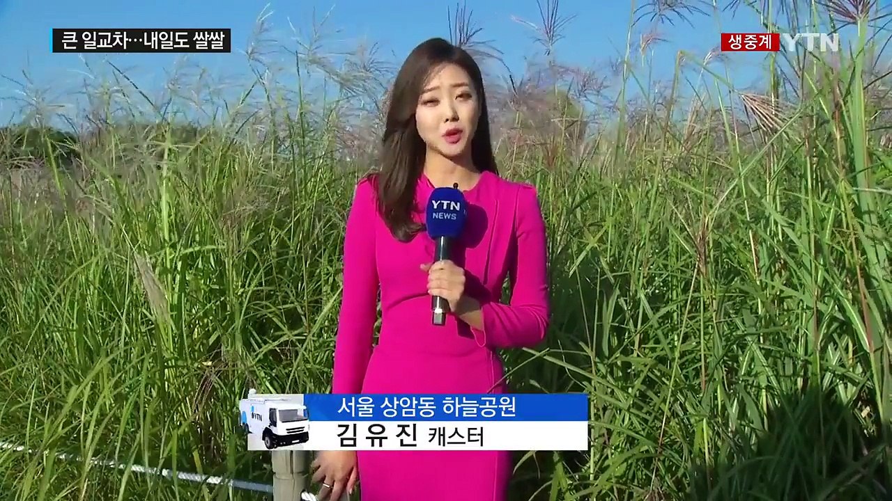 [날씨] 쾌청한 하늘, 선선한 바람...은빛 억새 장관 / YTN (Yes! Top...