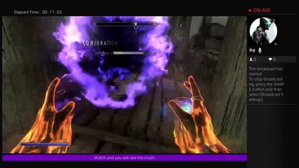 Skyrim with mods lol (39)
