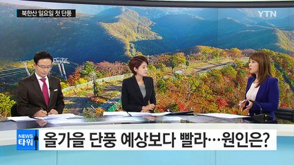 단풍전선 확산...북한산 일요일 첫단풍 / YTN (Yes! Top News)