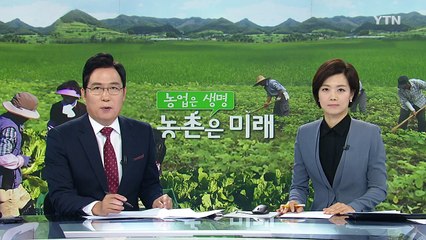 버섯 효능 높여 건강 기능성 식품으로 개발 / YTN (Yes! Top News)