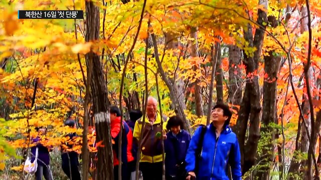 빨라지는 단풍...서울 북한산 16일 '첫 단풍' / YTN (Yes! Top News)