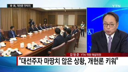 靑 제동에도 꺼지지 않는 與 '개헌론' / YTN (Yes! Top News)