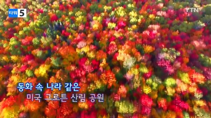 [영상] 가을 맞은 어느 공원의 풍경 / YTN (Yes! Top News)