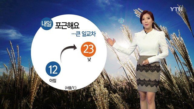 [날씨] 내일 맑고 포근...아침 안개 주의 / YTN (Yes! Top News)