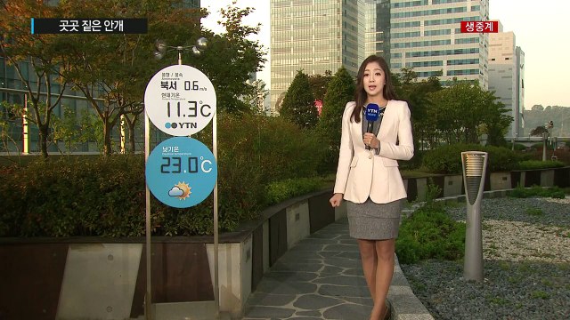 [날씨] 곳곳 짙은 안개...낮 동안 전국 맑고 포근 / YTN (Yes! Top News)