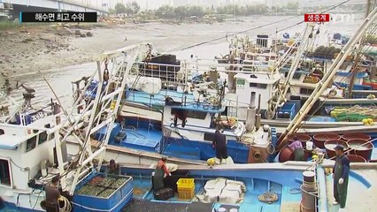 올해 들어 해수면 최고 수위...침수 우려 시간은? / YTN (Yes! Top News)