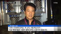 또 도심에 멧돼지 출몰...일주일 사이 네 건 / YTN (Yes! Top News)