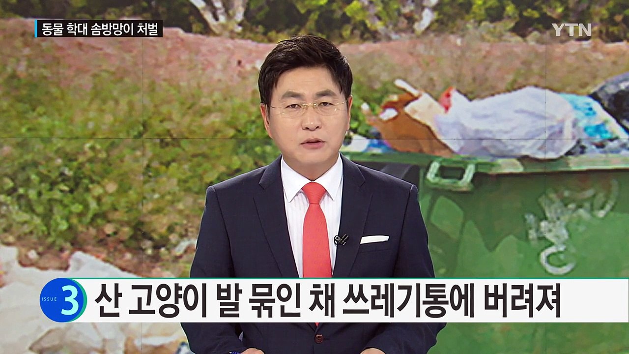 산 고양이, 발 묶인 채 쓰레기통에서 발견...학대 흔적 / YTN (Yes! Top...