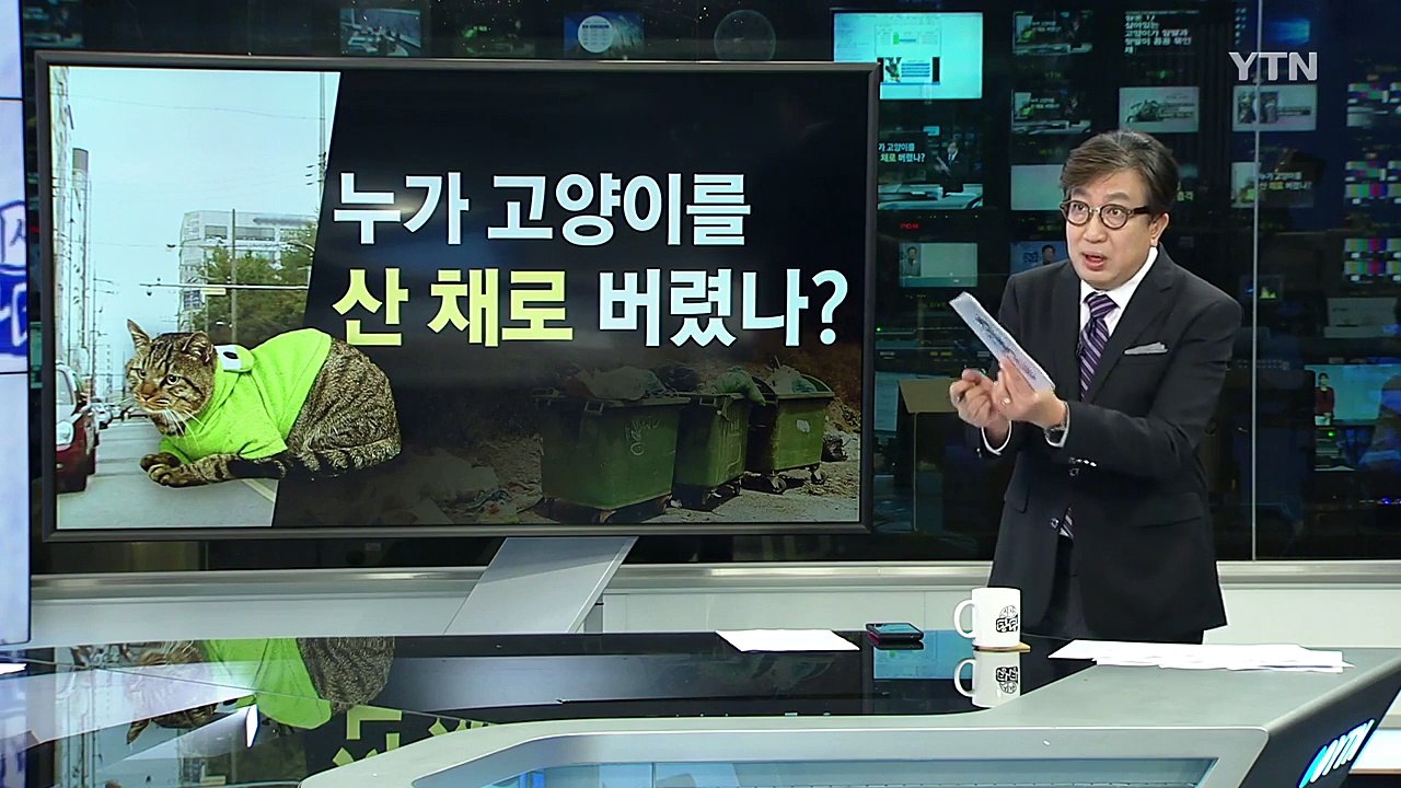 산 고양이 발 묶어 쓰레기통 유기...처벌은? / YTN (Yes! Top News)