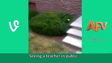 Funny Pets Vine Compilation, Where would the Internet be without pets?