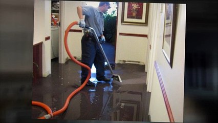 Parker Water Damage