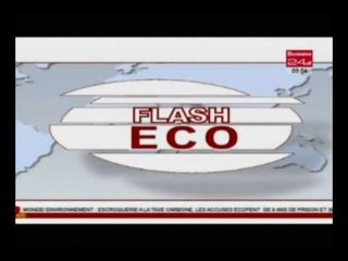 Business 24/Flash Eco Afrique édition du Mardi 12 Juillet 2016