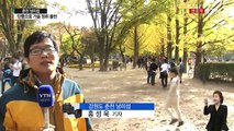 알록달록 단풍 속으로...남이섬, 가을 정취 물씬 / YTN (Yes! Top News)