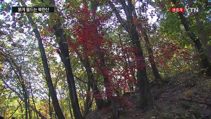 [날씨] 붉게 물드는 북한산...내일 서울 낮 17℃ / YTN (Yes! Top News)