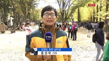 알록달록 단풍 속으로...남이섬, 가을 정취 물씬 / YTN (Yes! Top News)