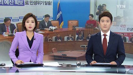 與 "예산 연계 안 돼" vs 野 "미르 예산 삭감" / YTN (Yes! Top News)