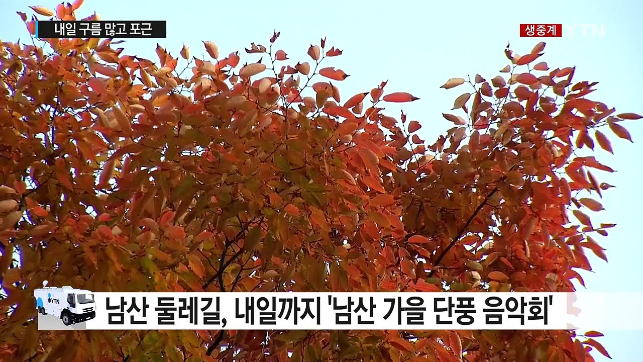 [날씨] 단풍으로 물든 남산...내일 구름 많고 포근 / YTN (Yes! Top N...
