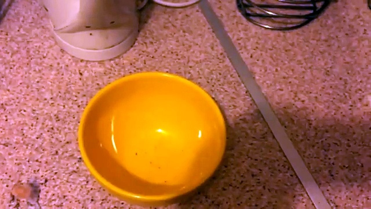 Gotta have my bowl , gotta have cereal[2]