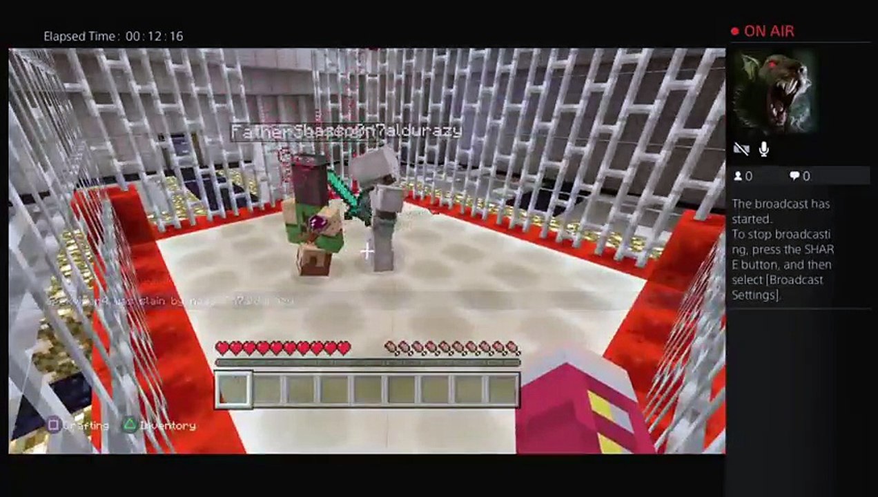 Minecraft (7)