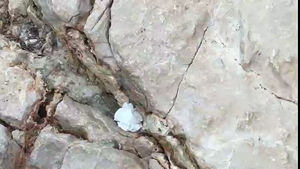 Cassis - Trou souffleur