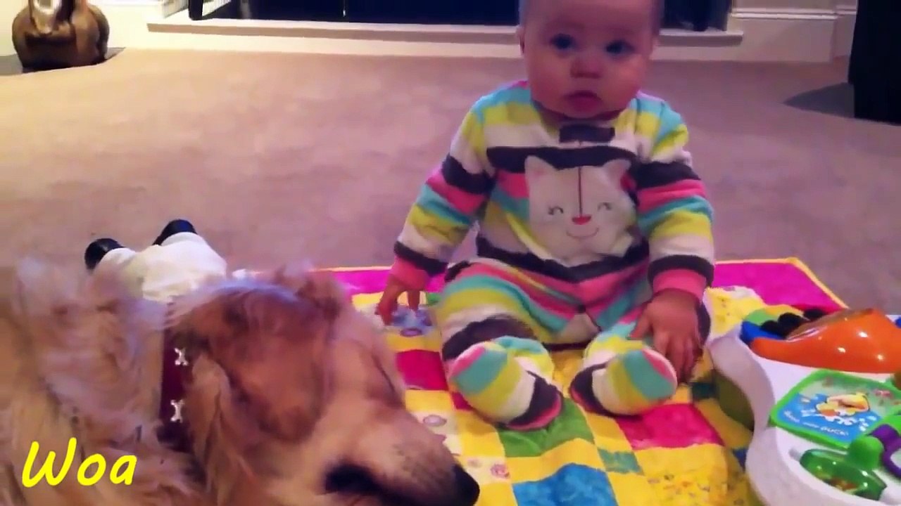 Baby & Golden retriever always best friend Babies need warm hugs from huge dog