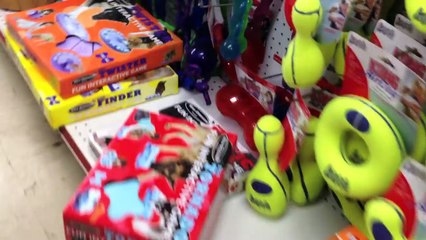 Ce chien a eu une vie particulièrement douloureuse, aujourd’hui, il a l'opportunité de choisir son premier jouet. Un mom