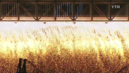 [영상] 가을밤 수놓은 불꽃의 향연...부산 불꽃축제 / YTN (Yes! Top News)