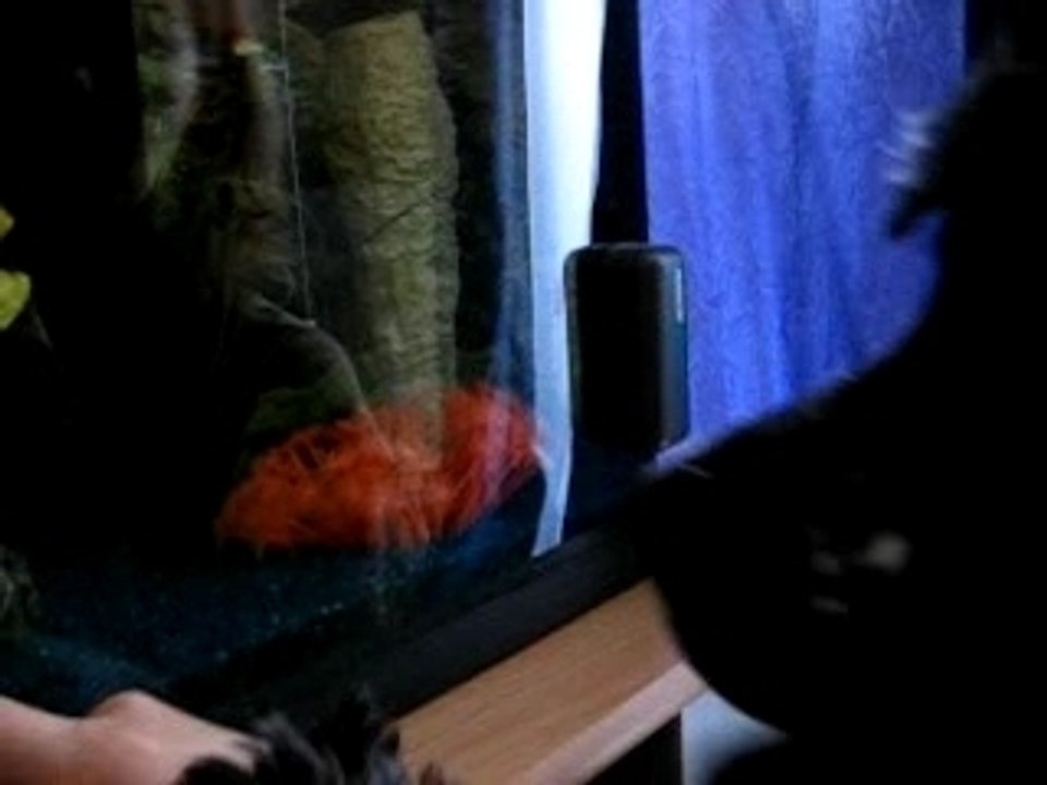 AQUARIUM