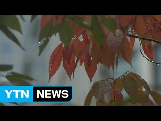 [날씨] 오늘 가을비 내리며 쌀쌀...주말 가을 추위 / YTN (Yes! Top News)