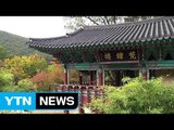 충남 계룡산 갑사 '가을 정취' 만끽 / YTN (Yes! Top News)