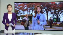 [날씨] 오늘 전국 포근...주말, 완연한 가을 날씨 / YTN (Yes! Top News)