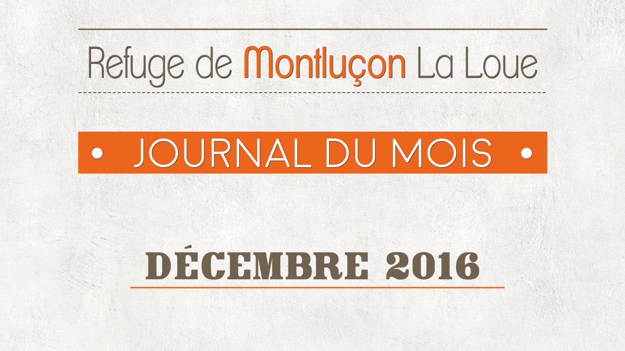 Un mois au refuge : décembre 2016