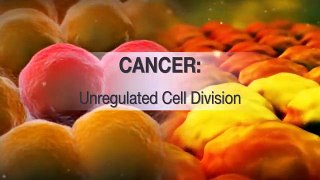 Cancer_ Unregulated Cell Division
