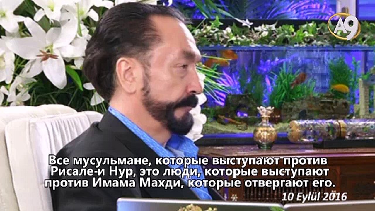 Какой будет политика во времена Благословенного Махди (а.с.)?