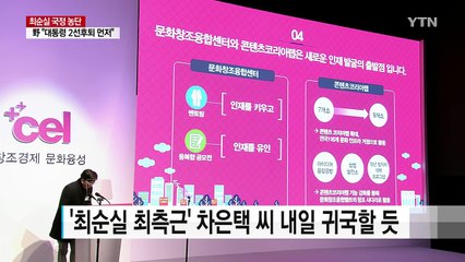 '최순실 최측근' 차은택 감독 내일 귀국할 듯 / YTN (Yes! Top News)