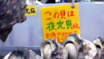 Japanese Street Food  Giant Sea Snail (Yakogai)