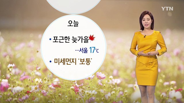 [날씨] 오늘 포근한 늦가을 날씨...미세먼지 '보통' / YTN (Yes! Top News)