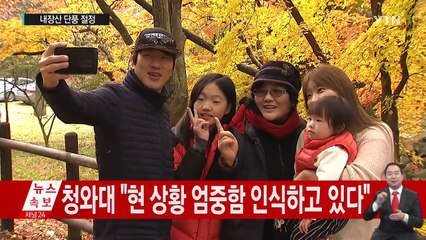 아쉬운 가을...올해 마지막 단풍 절정 / YTN (Yes! Top News)