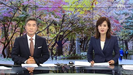 가을의 끝자락...올해 마지막 단풍 절정 / YTN (Yes! Top News)